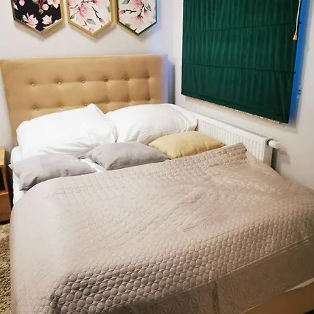 Margaret سفينويتشي